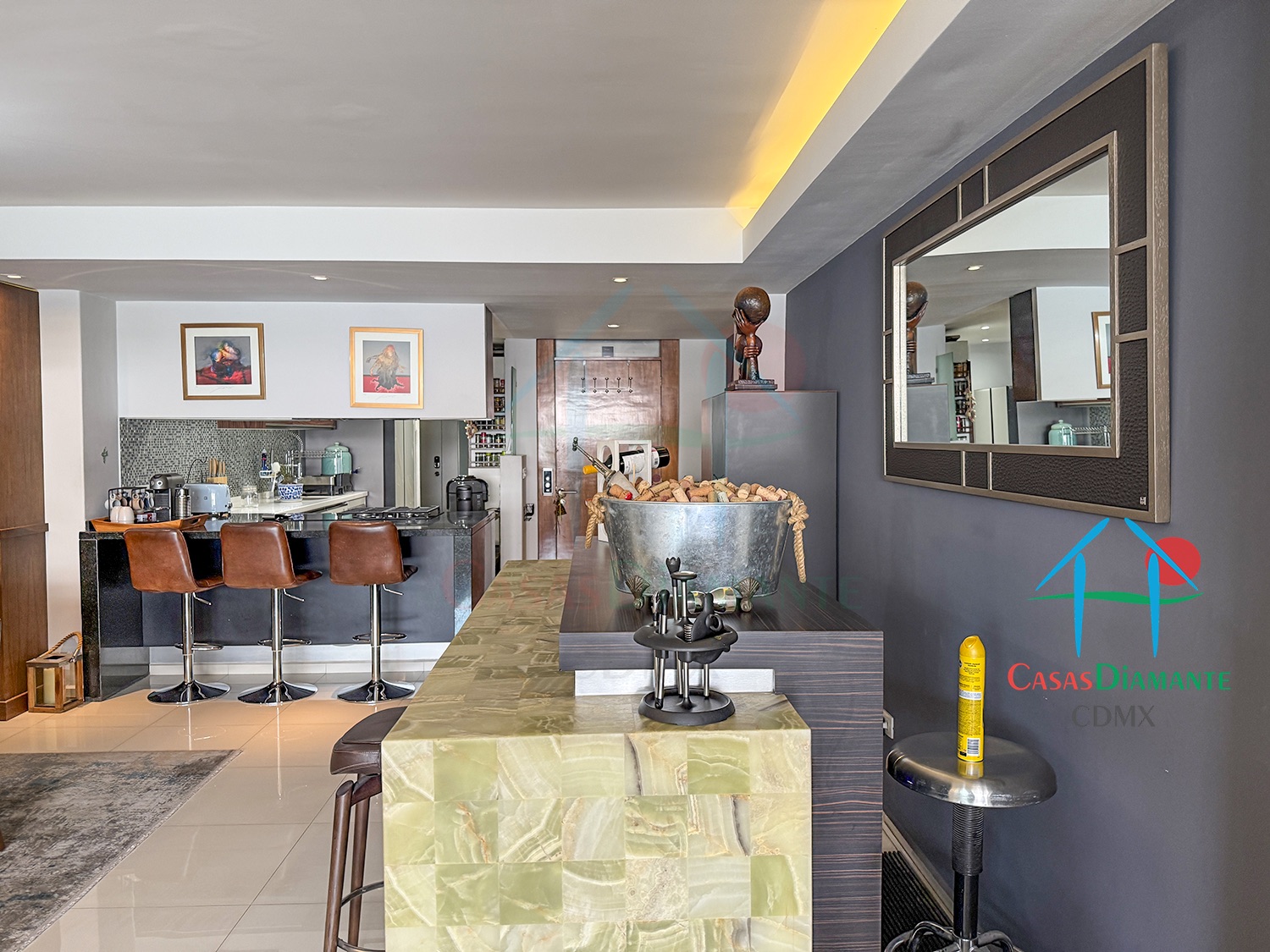 Polanco Departamento Arquímedes - Barra bar 4